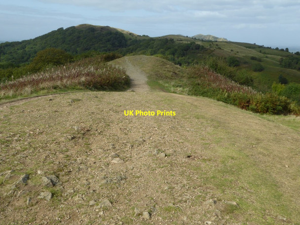 Photo 6"x4" On the summit of Swinyard Hill Chandler's Cross\/SO7738 c2017