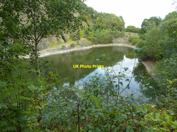 Photo 6"x4" Gullet Quarry Chandler's Cross\/SO7738 c2017