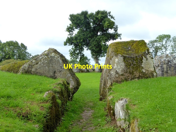 Photo 6"x4" Pathway into Grange Stone Circle Holycross\/R6339 c2017