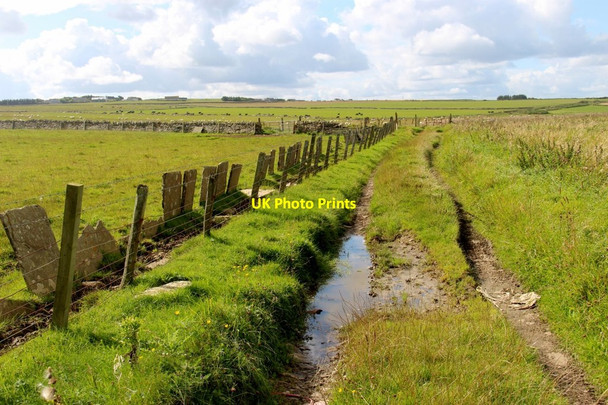 Photo 6"x4" Coastal track and fields near Castletown Castletown\/ND1967 c2017