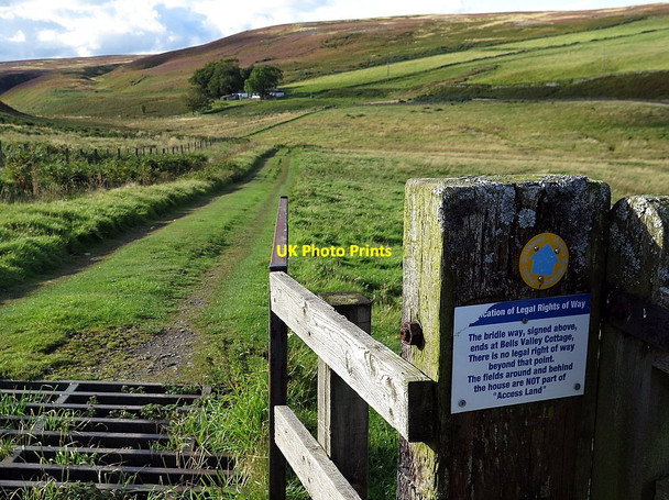 Photo 6"x4" The bridleway to Bell's Valley (and no further) Akeld c2017