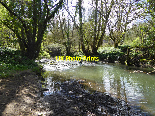 Photo 6"x4" The Mells River Frome c2017