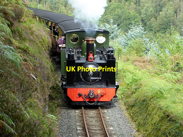 Photo 6"x4" No 8 at Ty'n-y-castell Devil's Bridge\/Pontarfynach c2017