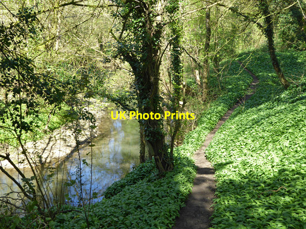 Photo 6"x4" Footpath by Mells River Frome c2017