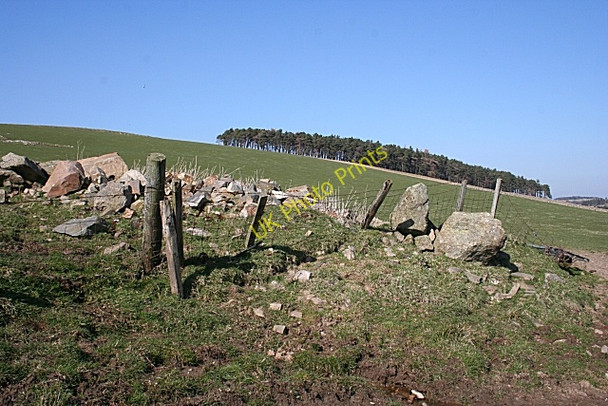 Photo 6"x4" Gallow Hill Haugh of Glass c2009