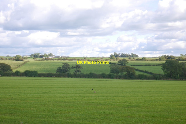 Photo 6"x4" Smooth grass Stewarton\/NS4246 c2017
