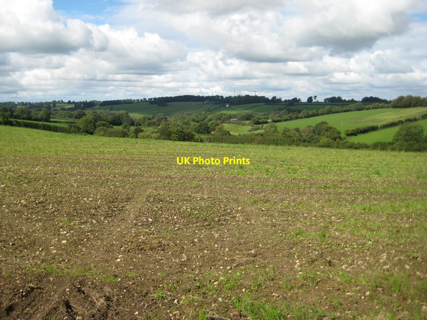 Photo 6"x4" Autumn sown crop near Purtington Purtington c2017