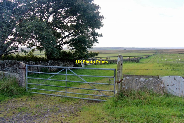 Photo 6"x4" Field walls at Kirkfield Castletown\/ND1967 c2017
