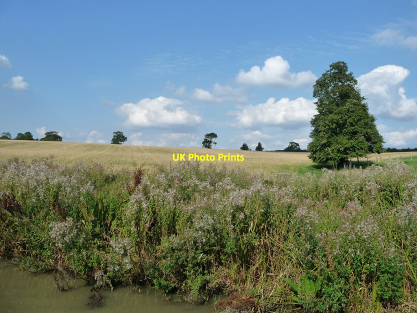 Photo 6"x4" Farmland west of Winwick Manor Farm Elkington c2017