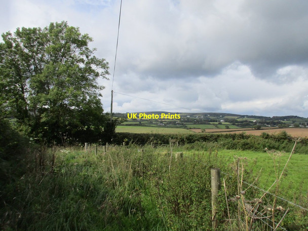 Photo 6"x4" Field edge above Lower Lounston Sigford c2017