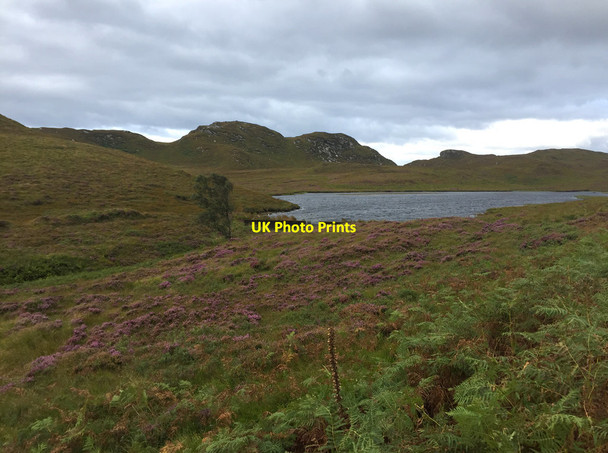 Photo 6"x4" The dam on Glaschoille Loch Scottas c2017