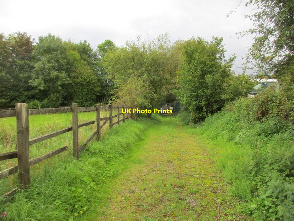 Photo 6"x4" Track near Dart Bridge, Buckfastleigh Buckfastleigh c2017