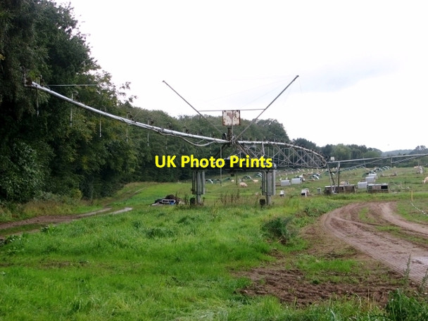 Photo 6"x4" Track leading past a field with free-range pigs Ringland\/TG1314 c2017
