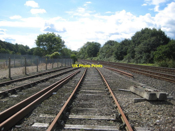 Photo 6"x4" Abandoned sidings, Chard Junction Chard Junction c2017