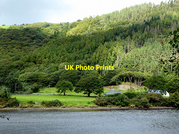 Photo 6"x4" Coed Dol-fawr Cwmbrwyno c2017