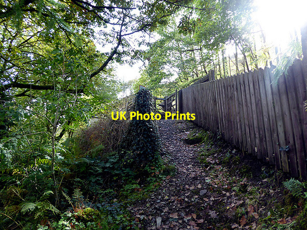Photo 6"x4" Steep approach to Rheidol Falls station Aberffrwd\/SN6878 c2017