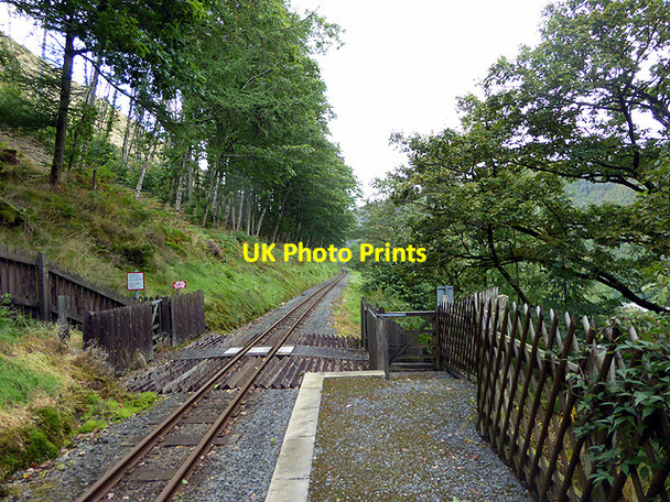Photo 6"x4" Looking 'west' from Rheidol Falls station Aberffrwd\/SN6878 c2017