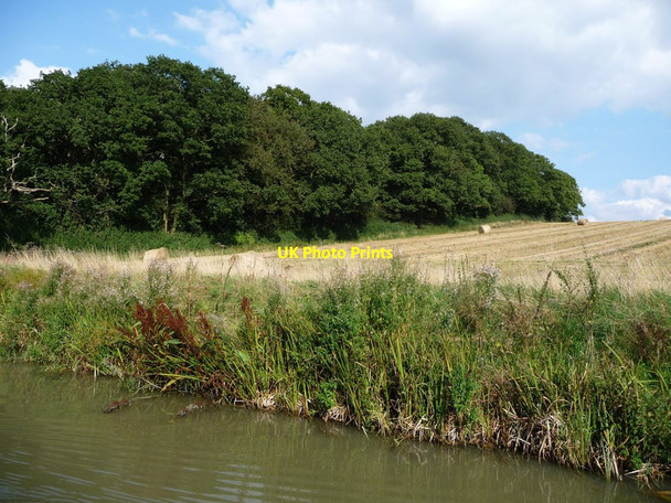 Photo 6"x4" The southern boundary of Yelvertoft Fieldside Covert Elkington c2017