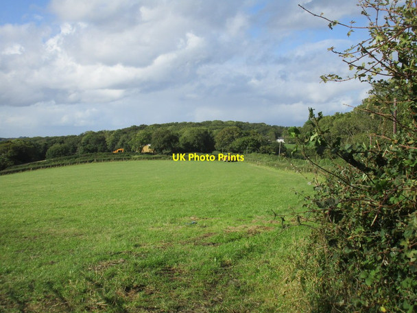 Photo 6"x4" Grass field near East Chelborough East Chelborough c2017