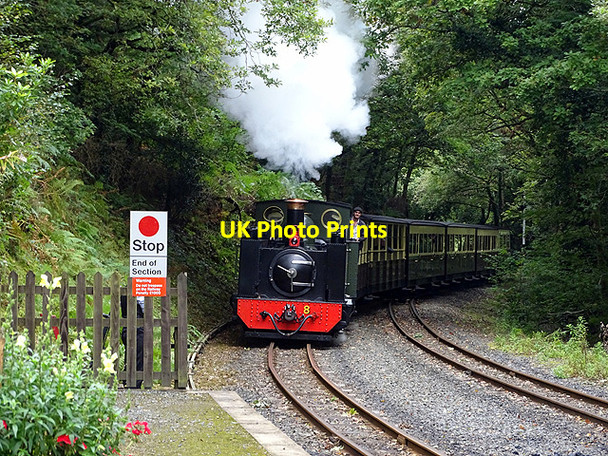 Photo 6"x4" No 8 finally pulls its train into Aberffrwd station, Vale of Rheidol Railway Aberffrwd\/SN6878 c2017