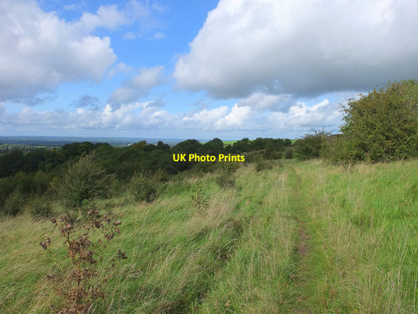 Photo 6"x4" Path on Arn Hill Down Warminster c2017
