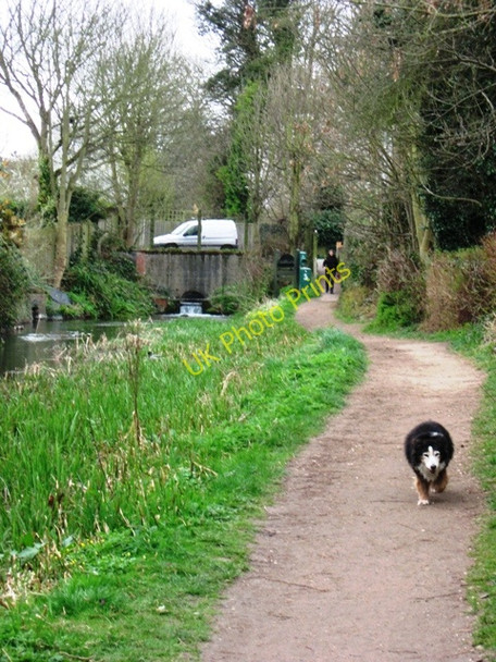 Photo 6"x4" Wendover Arm: The Start of the Grand Union Canal Walk Wendover c2009