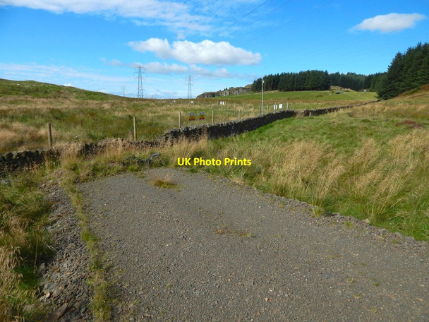 Photo 6"x4" The end of a forestry track Bowling\/NS4473 c2017