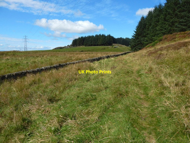 Photo 6"x4" Path to Greenland Reservoir № 3 Bowling\/NS4473 c2017