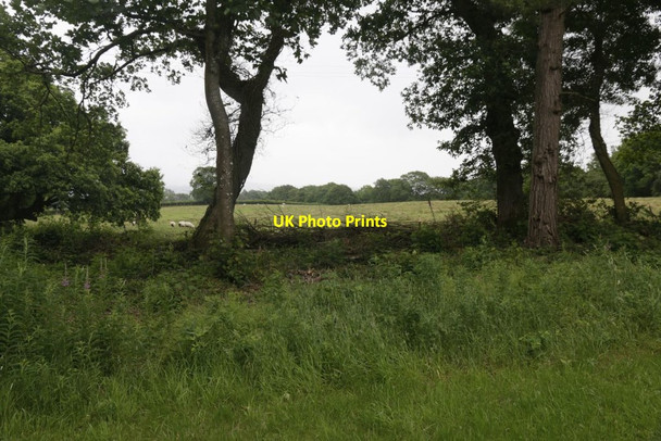 Photo 6"x4" Pasture by the Church Llanfihangel-helygen c2017