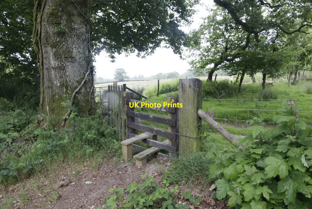 Photo 6"x4" Stile in the Churchyard Llanfihangel-helygen c2017