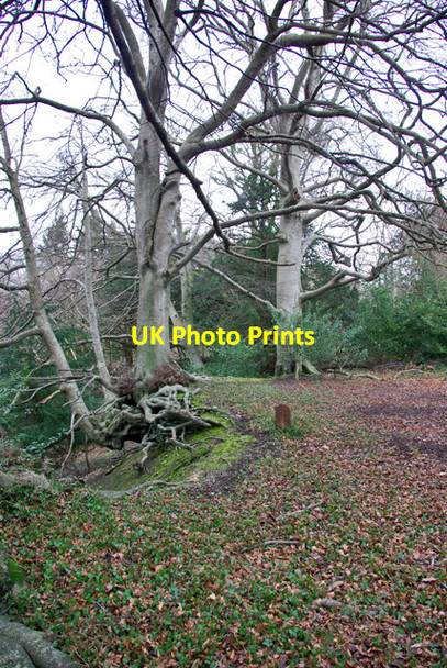 Photo 6"x4" Madehurst - Arundel parish boundary Slindon\/SU9608 c2007