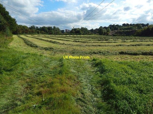 Photo 6"x4" Recently-mown field Dumbarton c2017