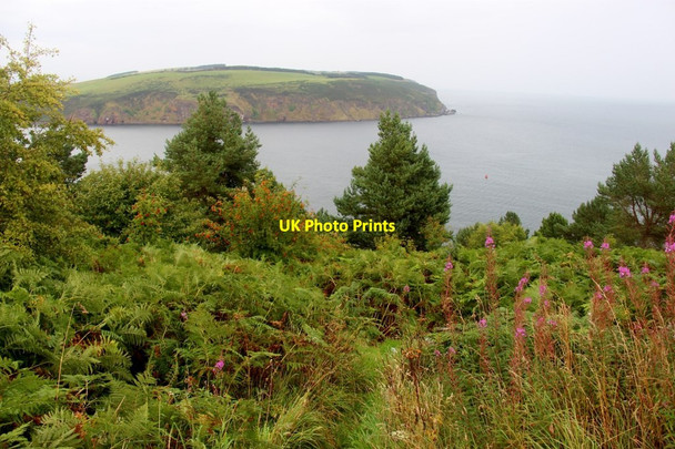 Photo 6"x4" Path to Cromarty Cromarty\/NH7867 c2017