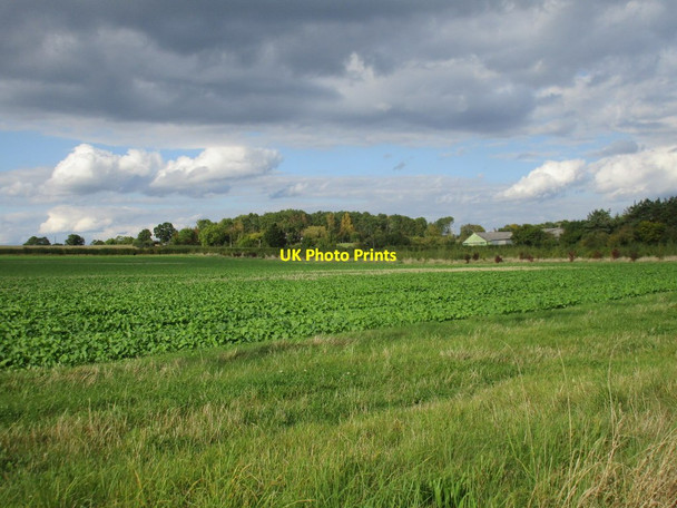 Photo 6"x4" View towards The Hill Berrow\/SO7934 c2017