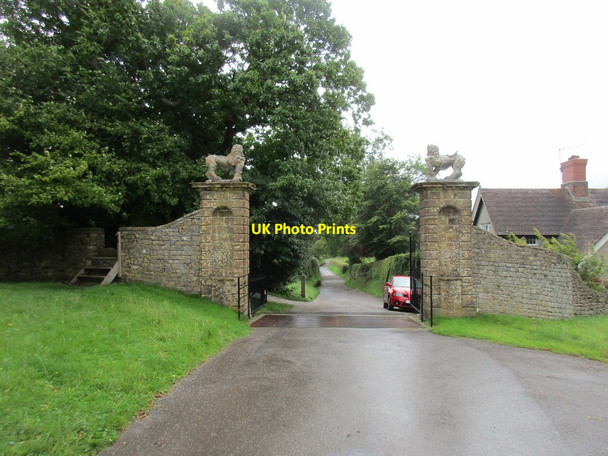 Photo 6"x4" Lion Gate Evershot c2017