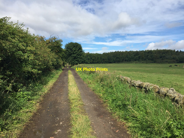 Photo 6"x4" Track running north west from Swinhoe Farm Detchant c2017