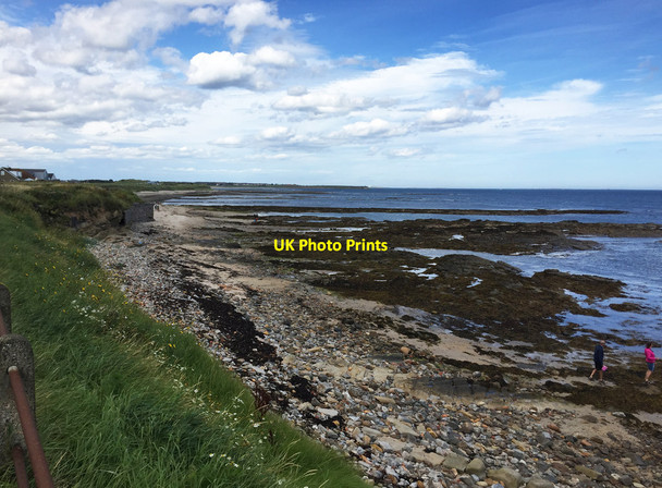 Photo 6"x4" Shoreline at Beadnell Beadnell c2017