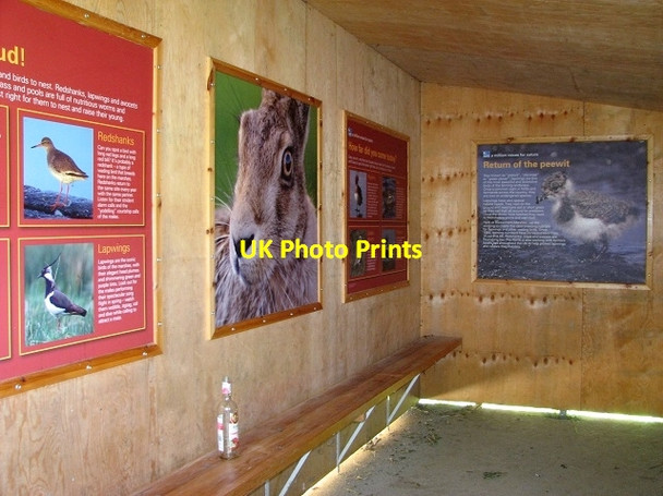 Photo 6"x4" Inside the RSPB bird hide Buckenham c2017