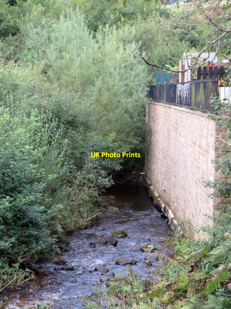 Photo 6"x4" Trawden Brook Trawden c2017