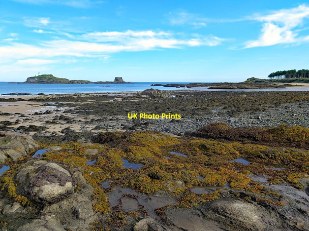 Photo 6"x4" Rocky shore east of Marine Villa Dirleton\/NT5183 c2017