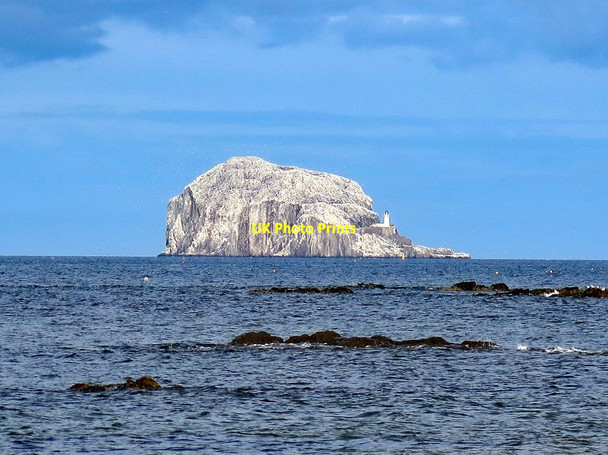 Photo 6"x4" Bass Rock from the west Bass Rock c2017
