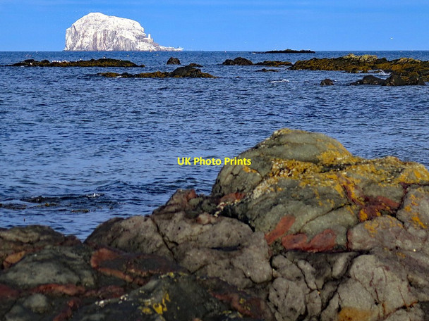 Photo 6"x4" Cowton Rocks towards Bass Rock North Berwick c2017