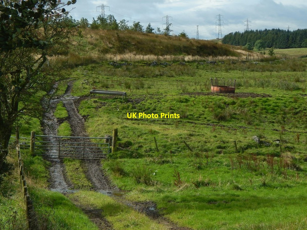 Photo 6"x4" Farm track Gateside\/NS4858 c2017