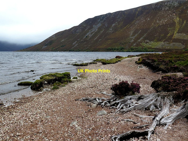 Photo 6"x4" Shore by Loch Muick An t-Sr\u00f2n\/NO2884 c2017