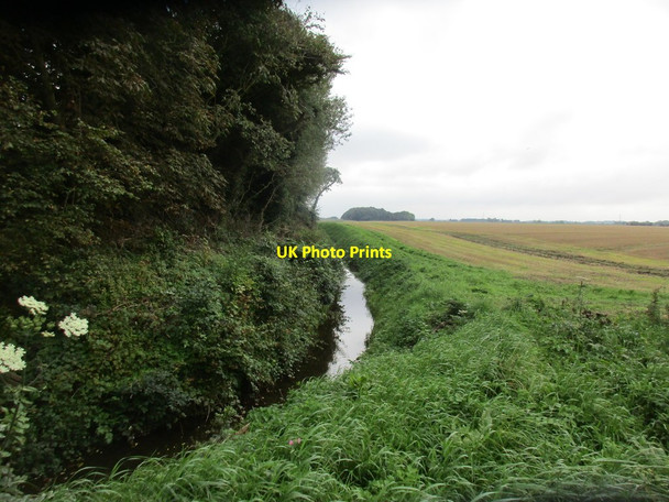 Photo 6"x4" Rotsea Drain Rotsea c2017