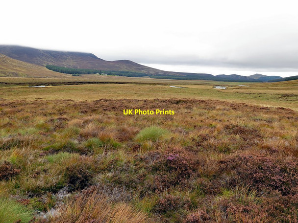 Photo 6"x4" Boggy moorland below Loch Muick Ant t-Sr\u00f2n c2017