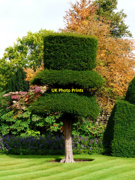 Photo 6"x4" Topiary Levens Hall Causeway End\/SD4885 c2017