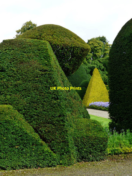 Photo 6"x4" Topiary, Levens Hall Causeway End\/SD4885 c2017