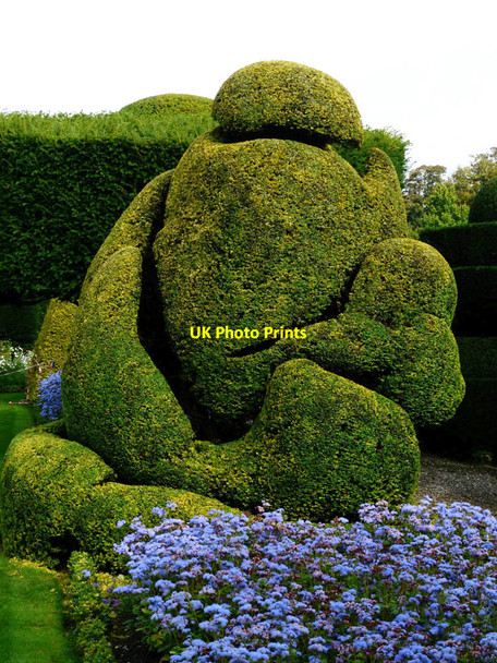 Photo 6"x4" Topiary, Levens Hall Causeway End\/SD4885 c2017 P1