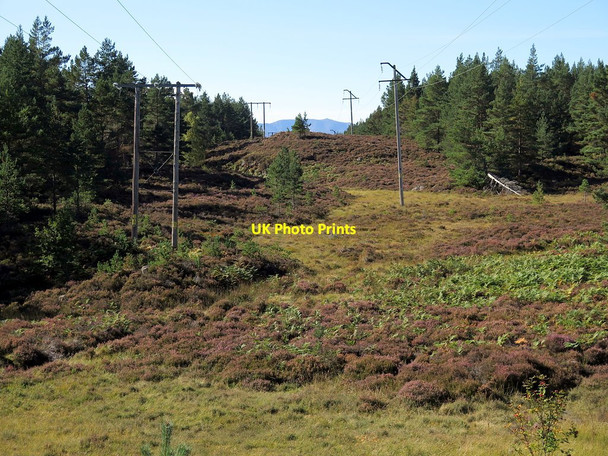 Photo 6"x4" Forest ride near Vat Burn Inchmarnoch c2017